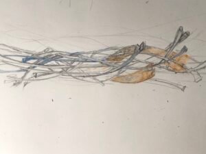 A small picture, nearly square, of a bundle of twigs. The twigs lay horizontal across the picture, near the top of the frame, twigs are all woven together forming a nest. Some of the twigs, the fig and the banyan are in brown, ash is in blue and oak is still in F lead pencil. While the twigs on ending on the left of the screen are cut or broken off, some of the twigs on the right have small buds forming. The twigs are not neatly bundled, but there is a clear pattern to them. Through the centre of them runs a blue line of ash, but twisted strong about is a brown line of banyan.
When the christians tell a story of how their world began the people, the first people, fell out of favour of their god, and there was a flood, and only two of each creature were saved. These creatures were on a boat, and it rained for fourty days and forty nights, and the world was covered with water. And then the rain stopped, and the man, Noah, who had put himself in charge again, sent out a bird to find land. But the first bird he sent out was the raven, and she never returned.