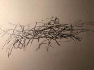 The one and the same bundle of twigs it is, but now in ink and pencil on a beige paper, no coloured pencil at all. Here, where we are now, in this world where time has not begun to be one way or another just yet beige is the colour of before things were.
The twigs in the bundle are the same twigs, set in their places the same, and woven just so, but they are now another thing also, the twigs of the soetdoring, black with long white thorns, thorns in twos, then one, then one, then two, that is how they are set about the twigs, the thorns that bind the bundle tight.
See the bundle a little closer now, and in amongst the sticks are springs of barley and oats and some acacia leaves. Circles set about, here and there, maybe they be grapes for Dionysus, but no, there are no gods about, not now, there is not yet time in which to make a god. Later when our circles are coloured in yellow, when the world begins to move and grow they will be the soft puffball flowers of the acacia tree. But, dear reader, this is not yet so, and only you and I know it will be. The others will find out soon about the flowers, what the flowers are, that they are part of a spell.
But what I will tell you now just us two will know, that as the flowers go flying they spread yellow pollen dust across the worlds. Those little flowers, they are one of the gifts of life.
Now you can tell our secret or you cannot. Ask the rabbits, if you should tell, they say to tell, ask the hare, hare says to speak wisely, but ask me now who is it, is it rabbit or hare who is in my pot?
I will not tell.